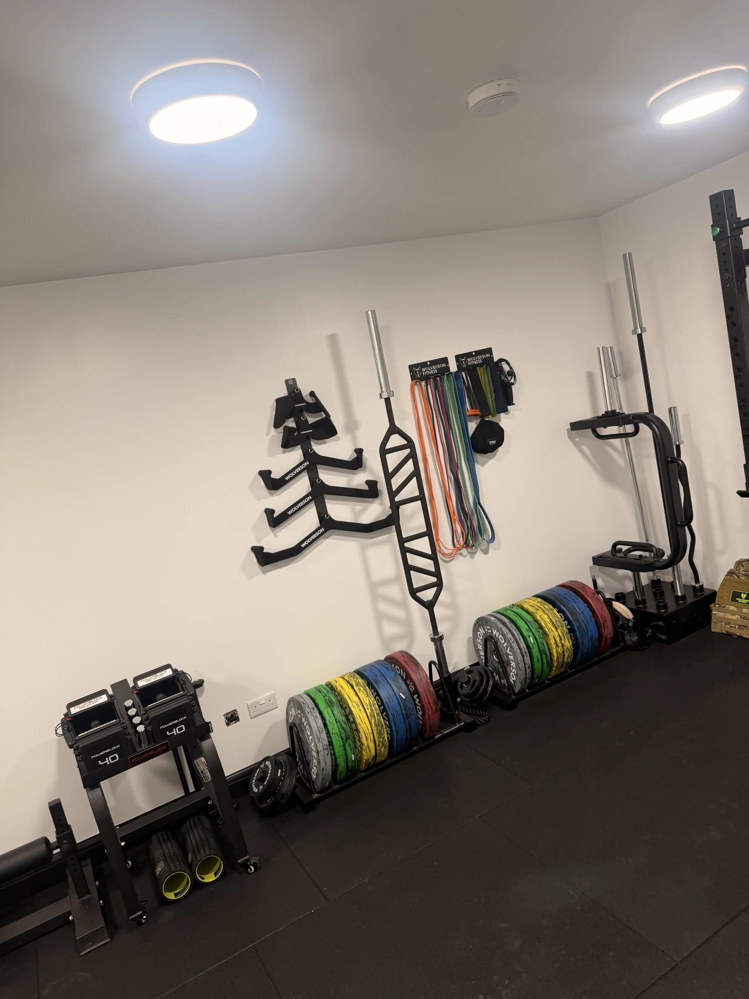 Specialty bars, bumper plates, resistance bands and adjustable dumbbells at OSHPerformance